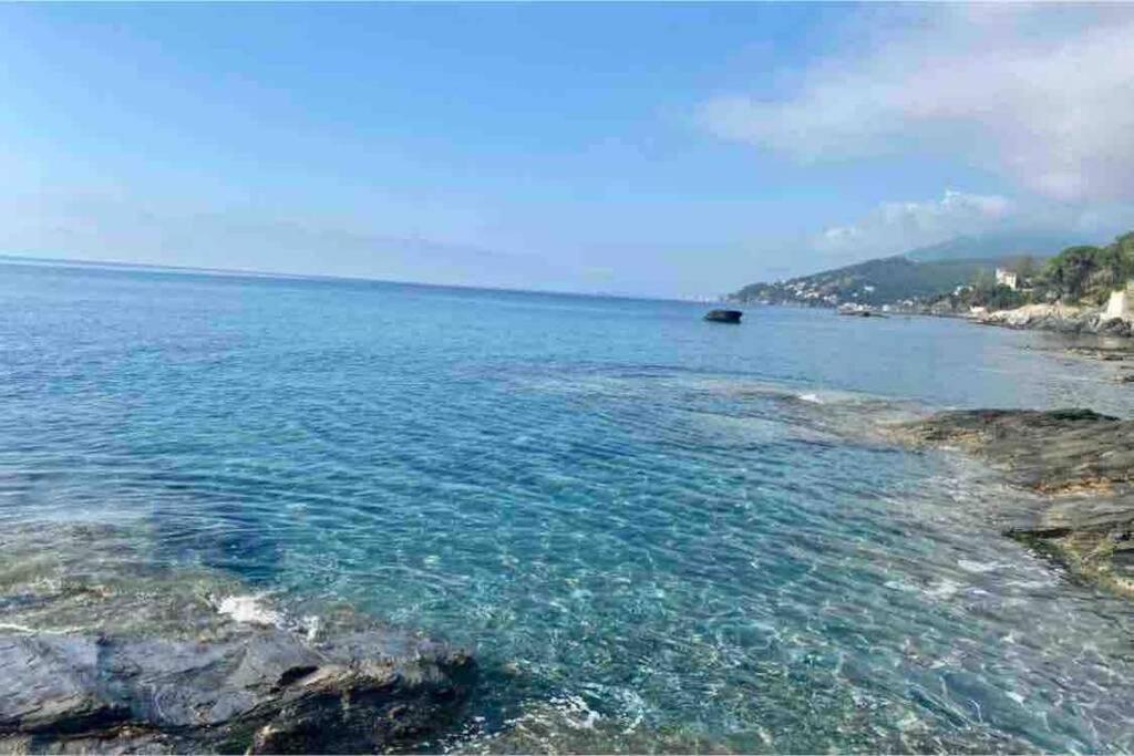 Appartement Vue Mer Avec Parking Gratuit Sur Place Bastia  Exteriér fotografie